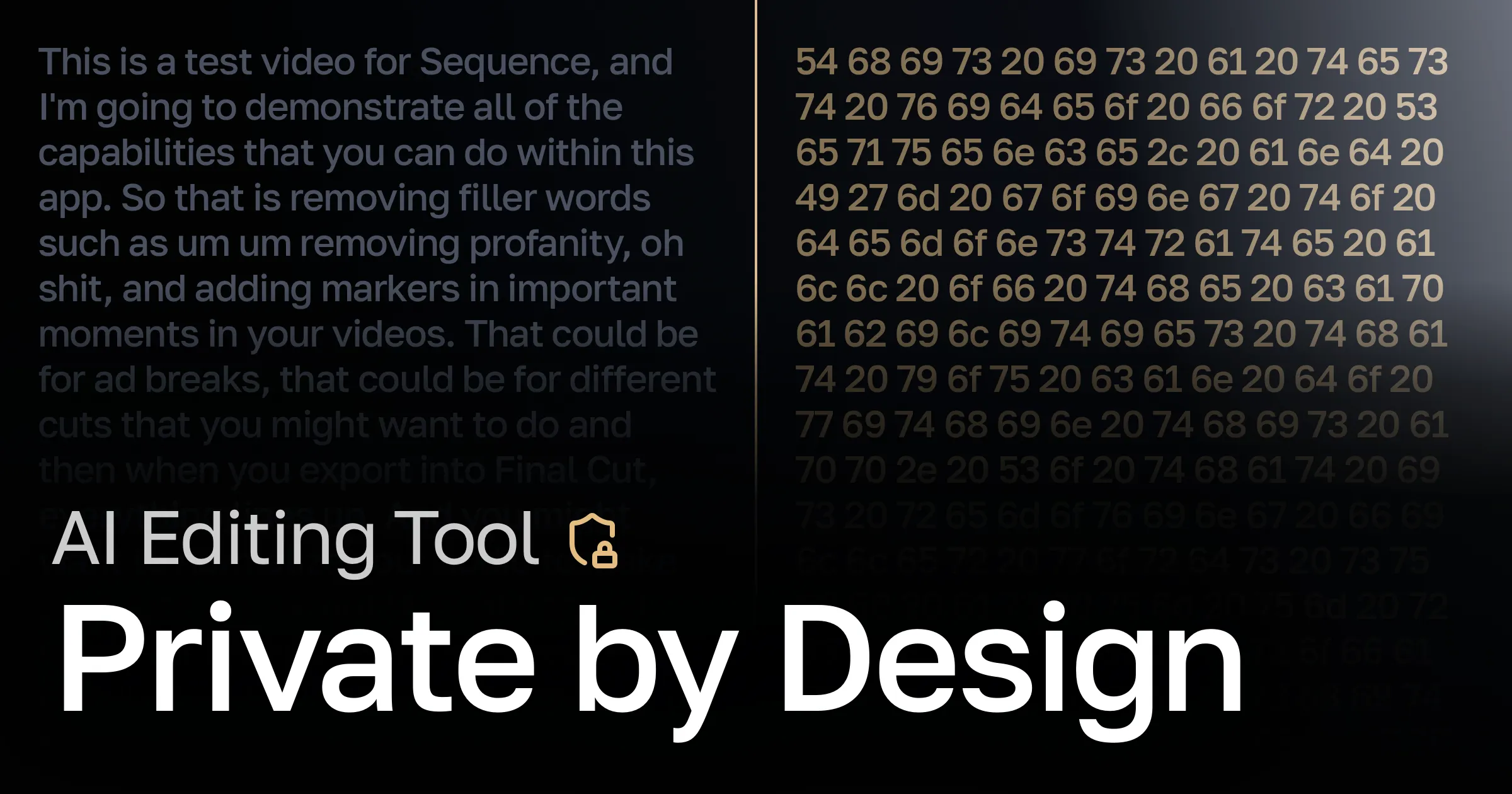 Creative AI Tools Don't Have to Know Everything About You