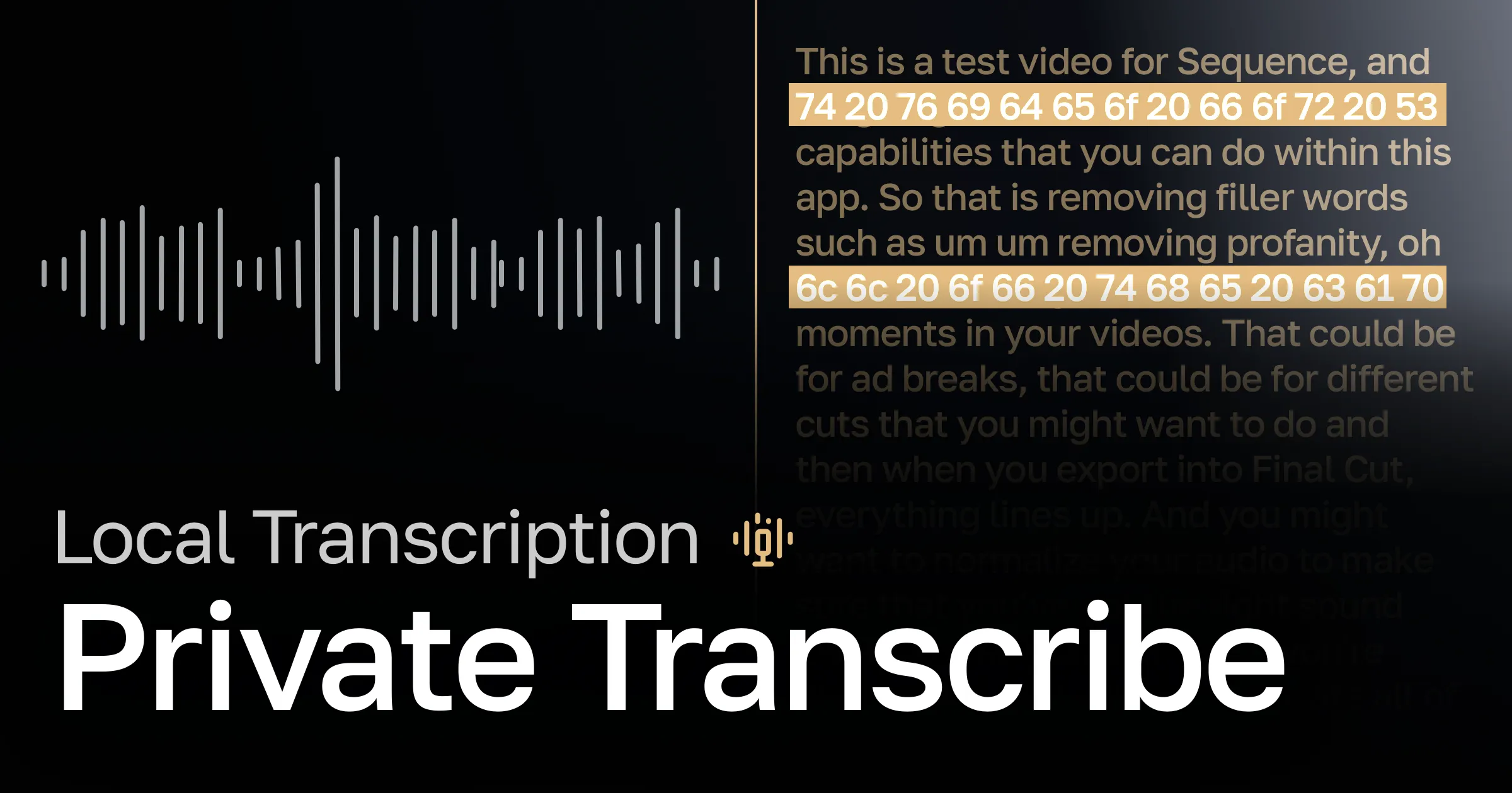 Transcription That Stays with Your Project