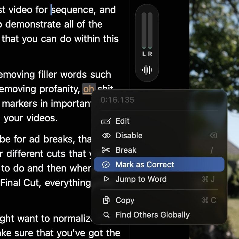 Context menu for editing a low-confidence transcription word